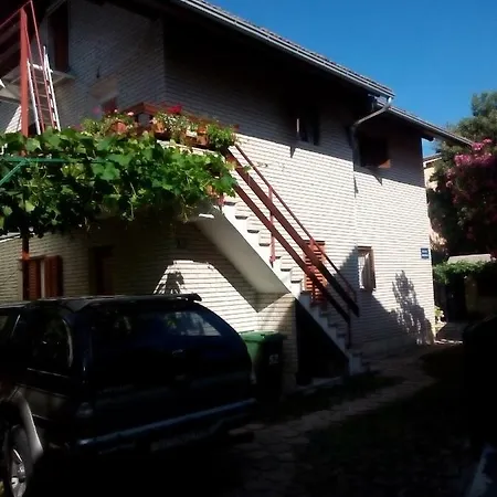 Draga Жаборич